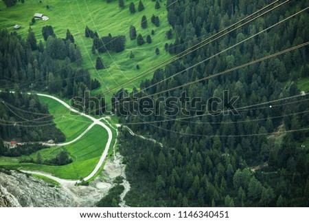 Foto Bild Coniferous forest in the alps