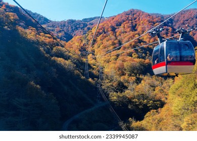 Aerial view of cable cars of Tanigawadake Ropeway transporting tourists up and down Tenjidaira Ski Resort in Minakami 水上, Gunma 群馬, Japan, with brilliant fall colors on the mountainside on a sunny day