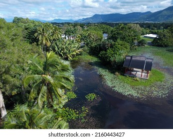 Aerial View Of Cairns Botanical Gardens And Mountains In