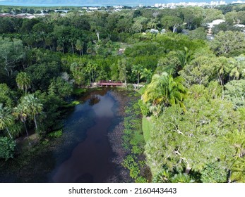 Aerial View Of Cairns Botanical Gardens In QLD