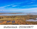 Aerial view of the Camargue near Saintes Maries de la Mer, Bouches du Rhône, Provence, France