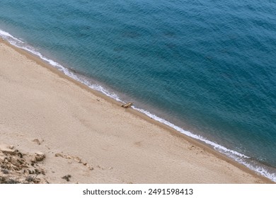 An aerial view captures the pristine shoreline where gentle waves meet the sandy beach. The gradient from sandy tan to deep blue highlights the natural beauty of the coastal edge - Powered by Shutterstock