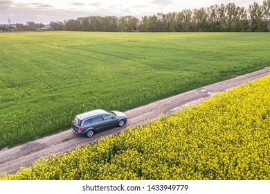 Aerial View Of Car Driving By Straight Ground Road Through Green Fields With Blooming Rapeseed Plants On Sunny Day. Drone Photography.