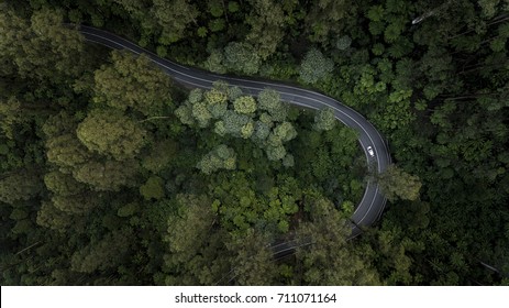 Aerial View Of Car Driving Down Road Through Forest