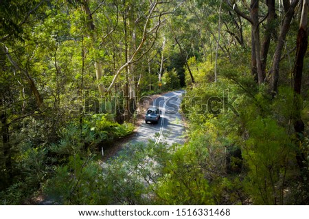 Aerial view of a car driving down a mountain road winding through lush rainforest. Way to Megalong Valley in the Blue Mountains of Australia.