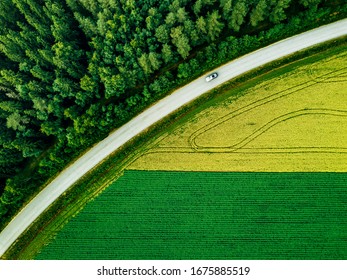 Aerial view of car driving on road along the green forest and potato with yellow rapeseed fields in rural landscape in summer Finland.