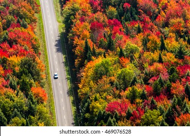 Aerial view of a car driving on a country road through a colorful forest at fall. Quebec, Canada.