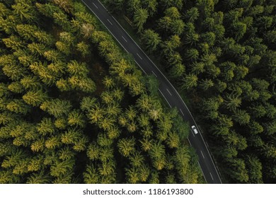 Aerial view of car driving through the forest on country road.