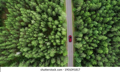 
Aerial View Of Car Driving Through The Forest On Country Road. Summer Time. 