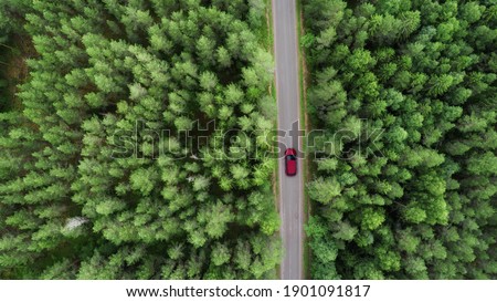 
Aerial view of car driving through the forest on country road. Summer time. 