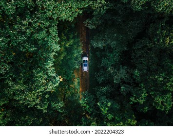 Aerial View Of The Car In Forest At Trail Road Copy Space