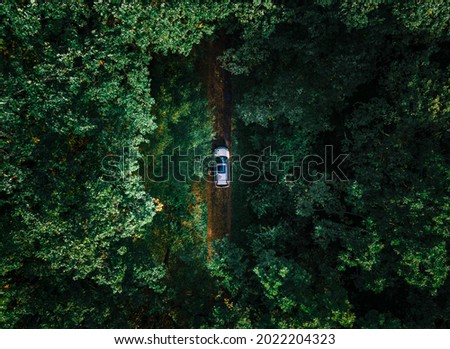 aerial view of the car in forest at trail road copy space