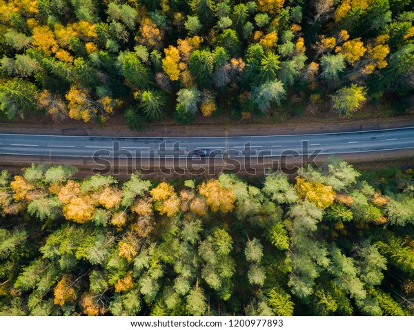 Aerial view of a car on the road. Autumn landscape\
countryside. Aerial photography of autumn forest with a car on the\
road. Captured from above with a drone. Aerial photo. Quadcopter.\
Aerial car view.