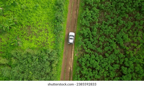 Aerial view from a car in the rainforests of Sao Tome,Africa