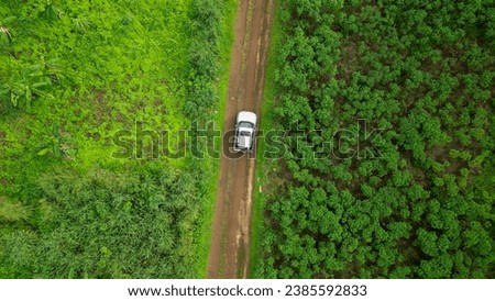 Aerial view from a car in the rainforests of Sao Tome,Africa