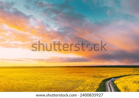 Aerial View Of Car SUV Parked Near Countryside Road In Spring Field Rural Landscape. Flowering Blooming Rapeseed, Oilseed In Field Meadow In Spring Season. Blossom Of Canola Yellow Flowers. Top