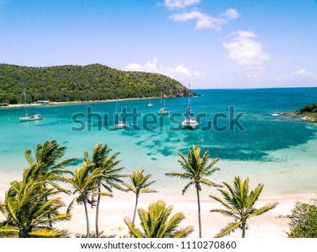 Aerial view of a Caribbean island - Saint-Vincent and the Grenadines - White sand beach - Mayreau. The paradise beach