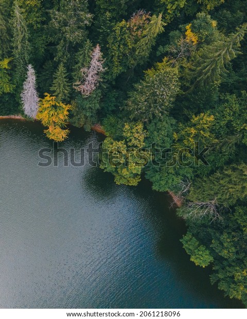 aerial view\
of carpathian lake synevyr autumn\
season