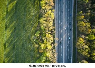 Aerial view of cars driving through the green forest on highway. Top view.