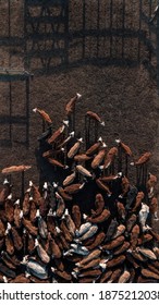 Aerial View Of Cattle In The Corral.