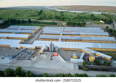 Aerial View Of Cattle Farm Buildings Between Green Farmlands