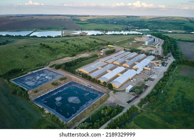 Aerial View Of Cattle Farm Buildings Between Green Farmlands