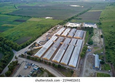 Aerial View Of Cattle Farm Buildings Between Green Farmlands