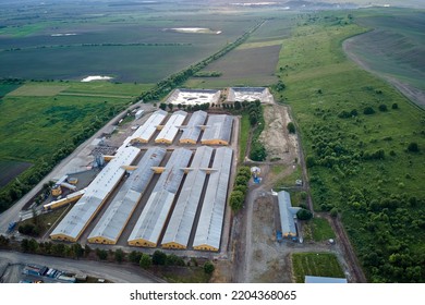 Aerial View Of Cattle Farm Buildings Between Green Farmlands