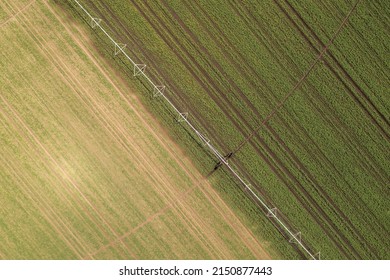 Aerial view of center pivot irrigation equipment watering green soybean seedlings on farm plantation, drone pov footage