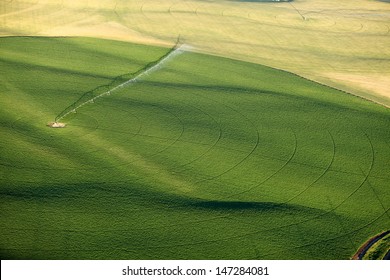 An aerial view of a center pivot sprinkler system irrigating a potato field - Powered by Shutterstock