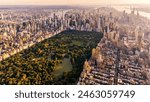 Aerial view of Central Park New York City