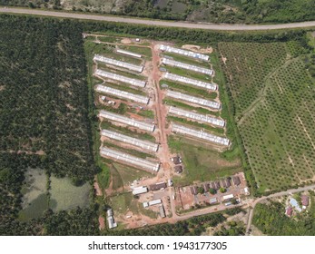 Aerial View Of Chicken Farm House In Tampin, Negeri Sembilan