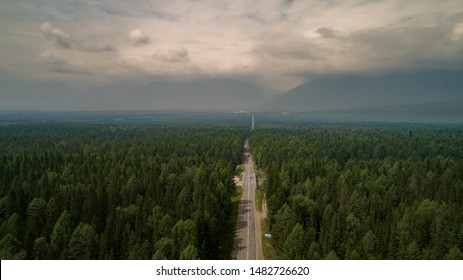 Aerial View Cinematic Drone Shot Flying Over Gravel Road In Pine Tree Forest