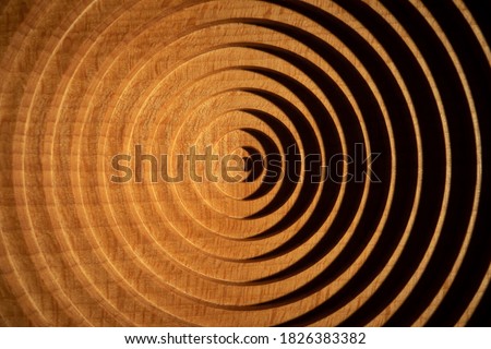 Aerial view of a circular geometric vertical beech wood plate. Concentric round beech wood plate light and shadow.