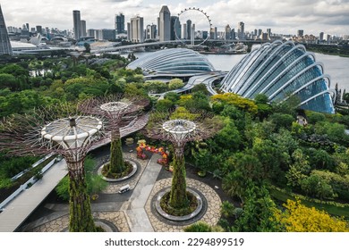 Aerial view to Cloud Forest and Flower Dome illuminated at the twilight. Famous hotel at the background. Gardens by the Bay, Singapore city. - Powered by Shutterstock