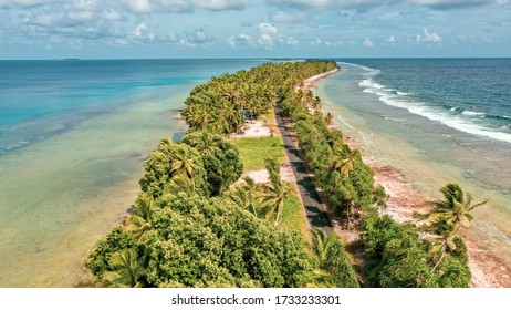 Aerial View Coconut Trees On The Island Tuvalu In The Pacific Ocean.