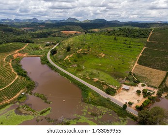 Aerial View Coffee Plantation With Drone