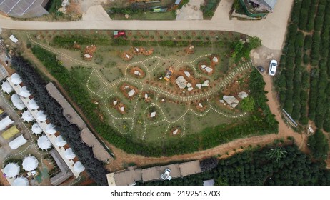 Aerial View Coffee Plantation Garden 