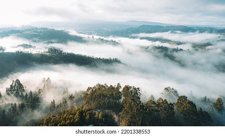 Aerial View Of Colombian Forest