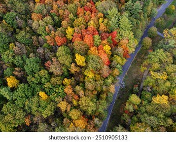 Aerial view of colorful autumn forest and walking trail. Mont-Saint-Bruno National Park, Saint-Bruno-de-Montarville, Quebec, Canada. - Powered by Shutterstock