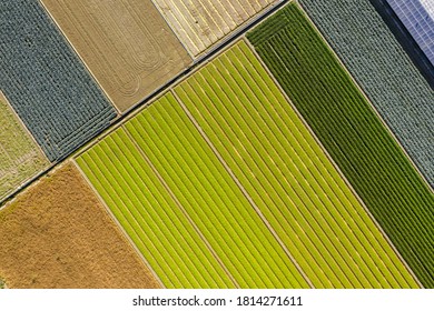 aerial view of colorful farm with solar energy generation buildings at Changhua, Taiwan