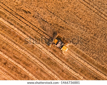 Similar – Combine harvester harvests grain field in the evening light from the air