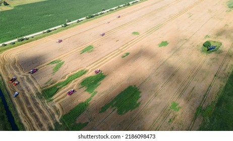 Aerial View Combine Harvester Harvesting On The Field. Harvesting Wheat. Harvester Machine Working In Field. Agriculture. Large Scale Wheat Harvest Operation.