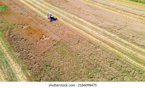 Aerial View Combine Harvester Harvesting On The Field. Harvesting Wheat. Harvester Machine Working In Field. Agriculture. Large Scale Wheat Harvest Operation.