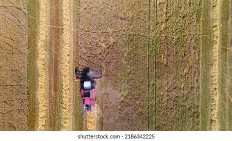 Aerial View Combine Harvester Harvesting On The Field. Harvesting Wheat. Harvester Machine Working In Field. Agriculture. Large Scale Wheat Harvest Operation.