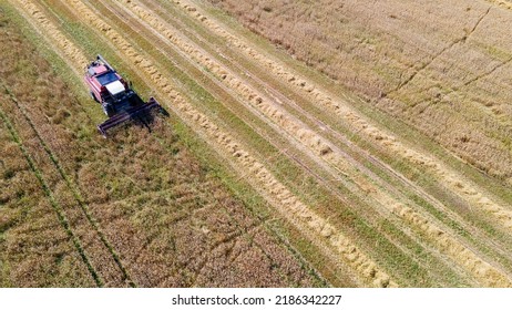 Aerial View Combine Harvester Harvesting On The Field. Harvesting Wheat. Harvester Machine Working In Field. Agriculture. Large Scale Wheat Harvest Operation.