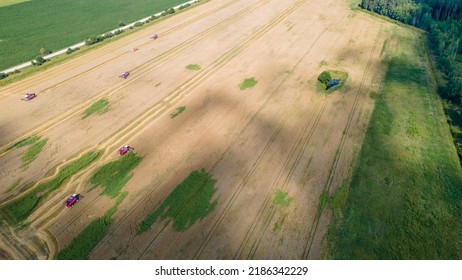 Aerial View Combine Harvester Harvesting On The Field. Harvesting Wheat. Harvester Machine Working In Field. Agriculture. Large Scale Wheat Harvest Operation.