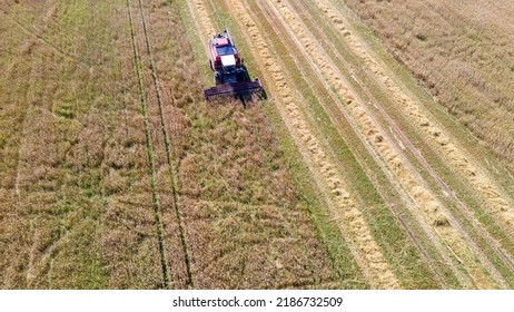 Aerial View Combine Harvester Harvesting On The Field. Harvesting Wheat. Harvester Machine Working In Field. Agriculture. Large Scale Wheat Harvest Operation.