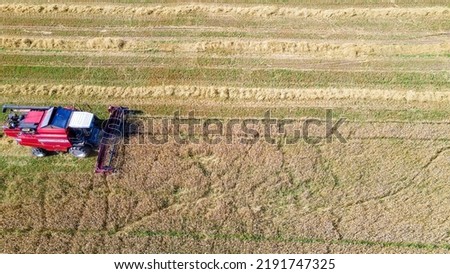 Similar – A combine harvester is harvesting grain crops on a cornfield in the evening sun seen from above