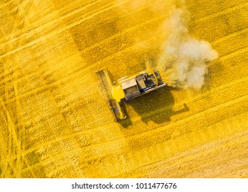 Aerial View Of Combine Harvester On Rapeseed Field. Agriculture And Biofuel Production Theme.